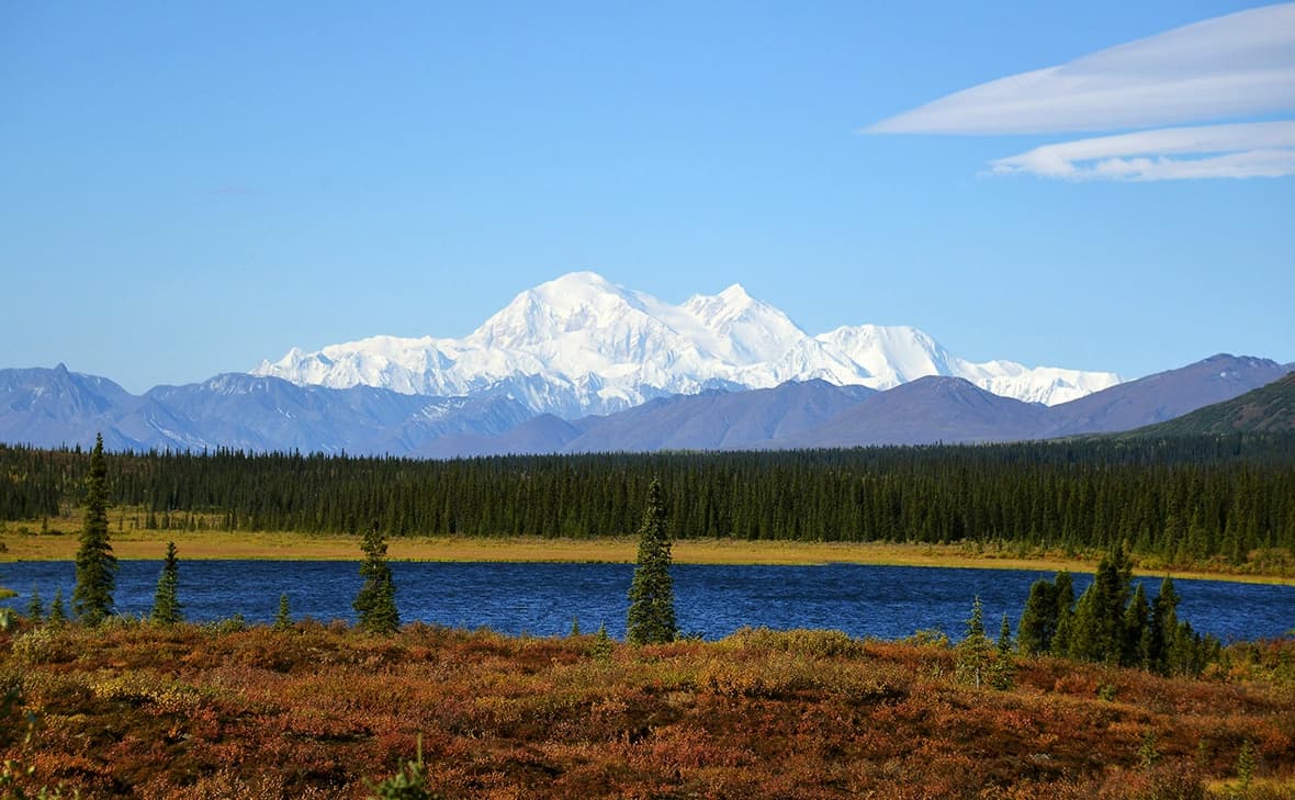 Галерея проекта 2