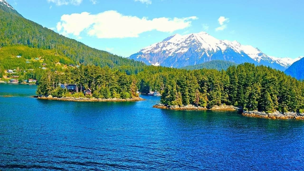 Галерея проекта 3